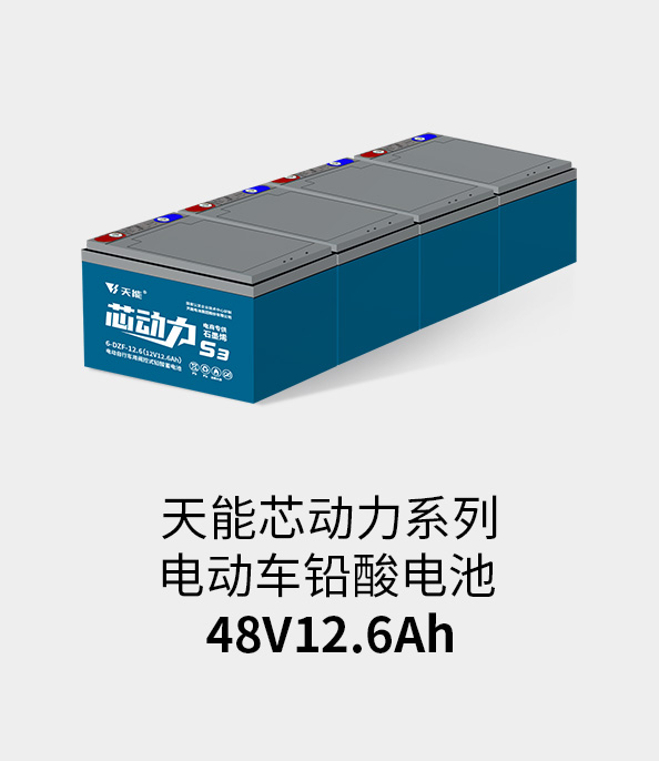 千赢国际电池48v12ah