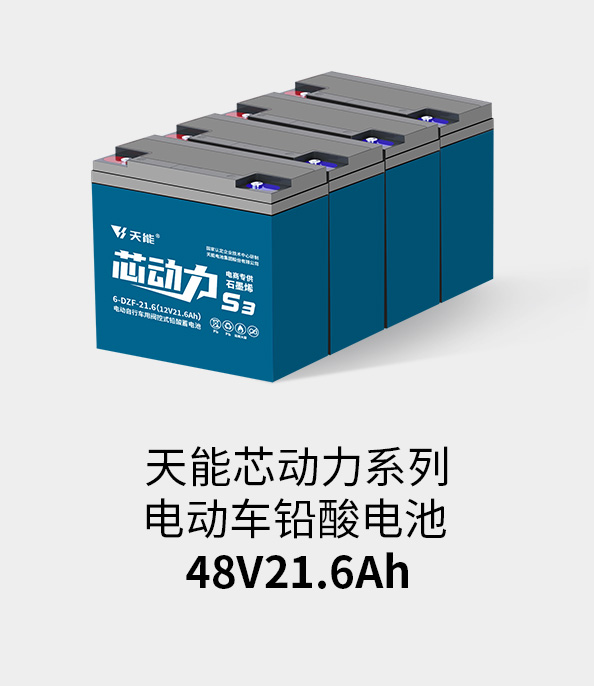 千赢国际电池48v20ah