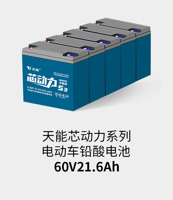 千赢国际电池60v20ah
