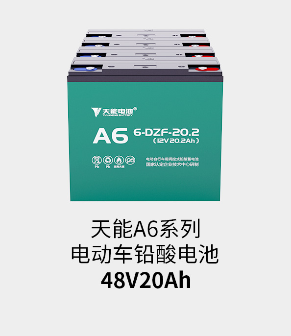 千赢国际电池48v20ah