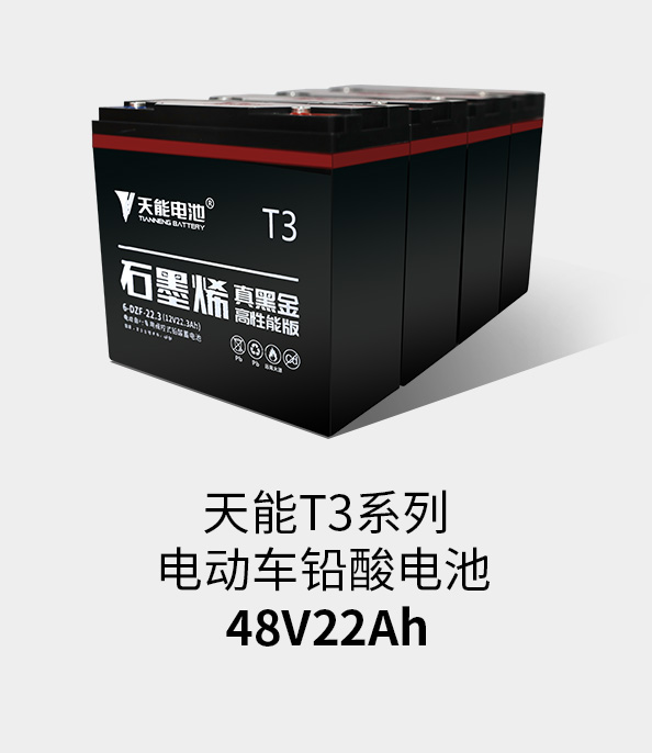 千赢国际T3系列48v22ah
